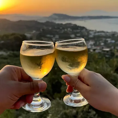 Baso Hilltop アパート *